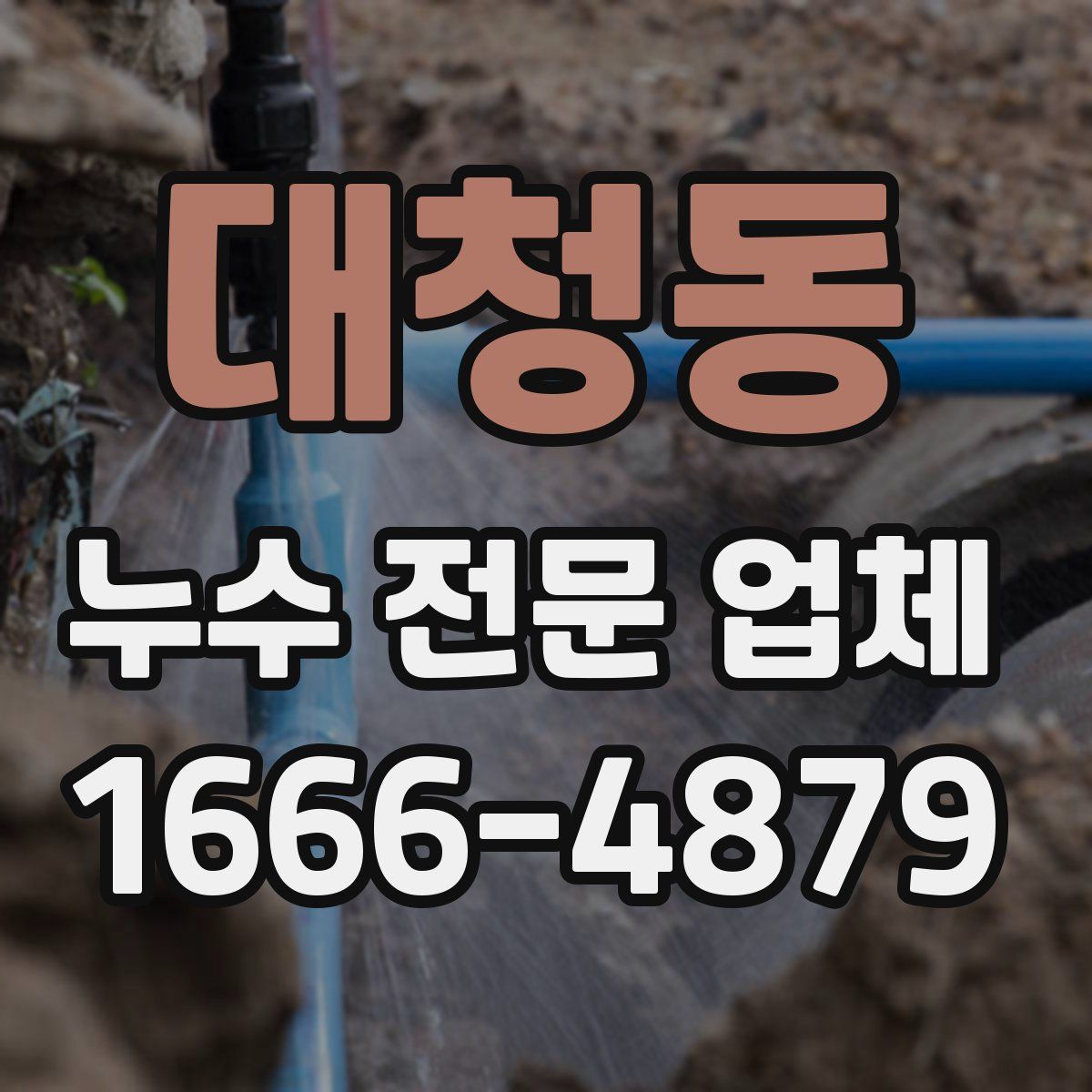 대청동 누수 전문 업체