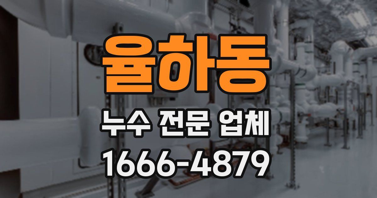 율하동 누수 전문 업체
