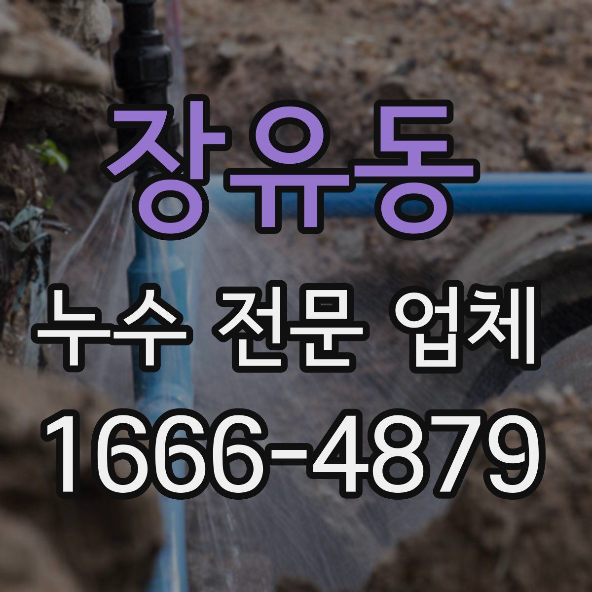장유동 누수 전문 업체