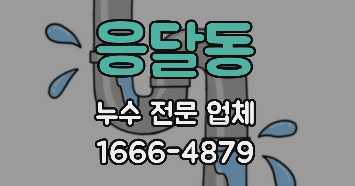 응달동 누수 전문 업체
