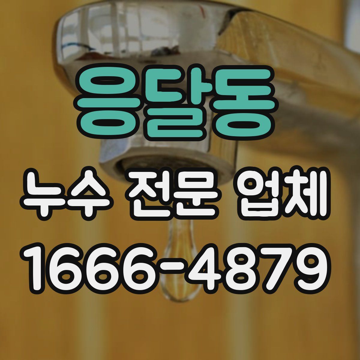 응달동 누수 전문 업체