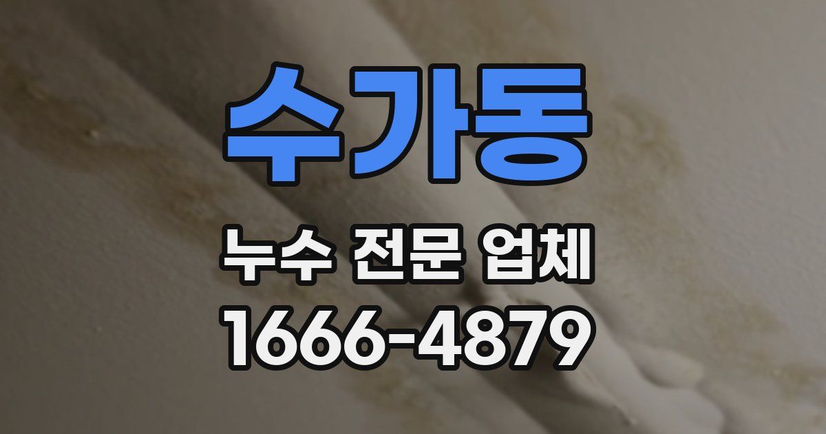 수가동 누수 전문 업체
