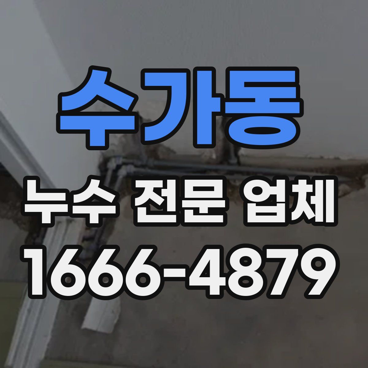 수가동 누수 전문 업체