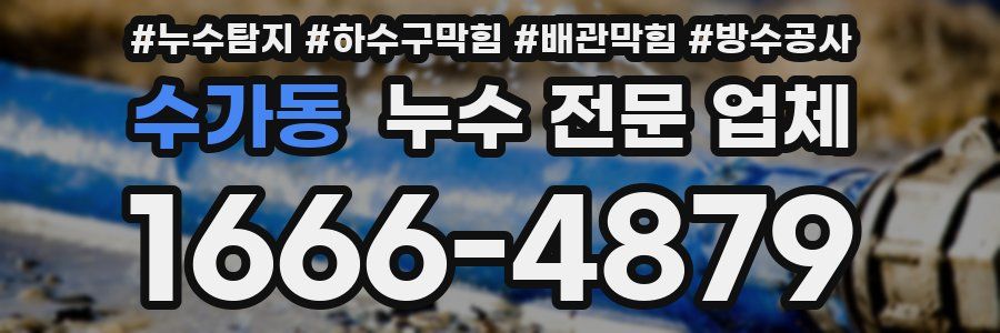 수가동 누수 전문 업체