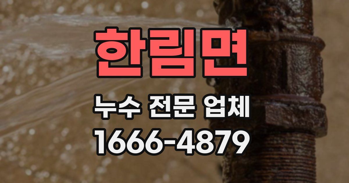 한림면 누수 전문 업체