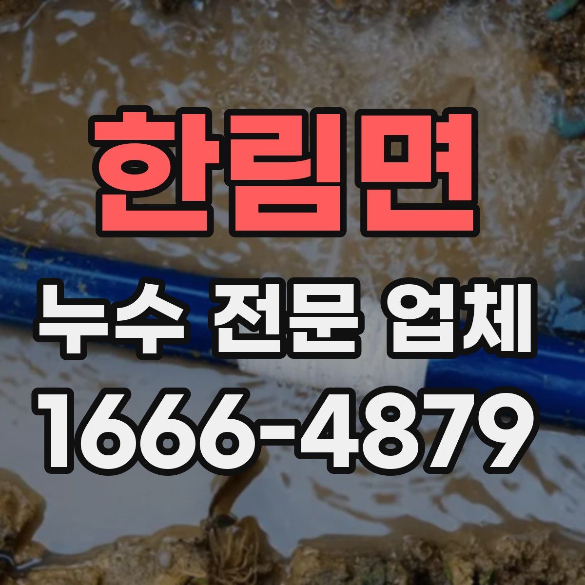 한림면 누수 전문 업체