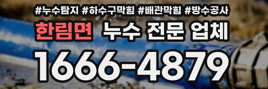 한림면 누수 전문 업체