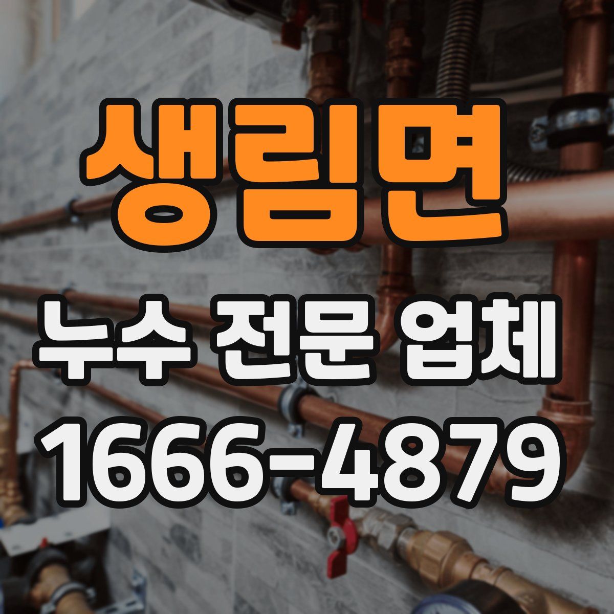 생림면 누수 전문 업체