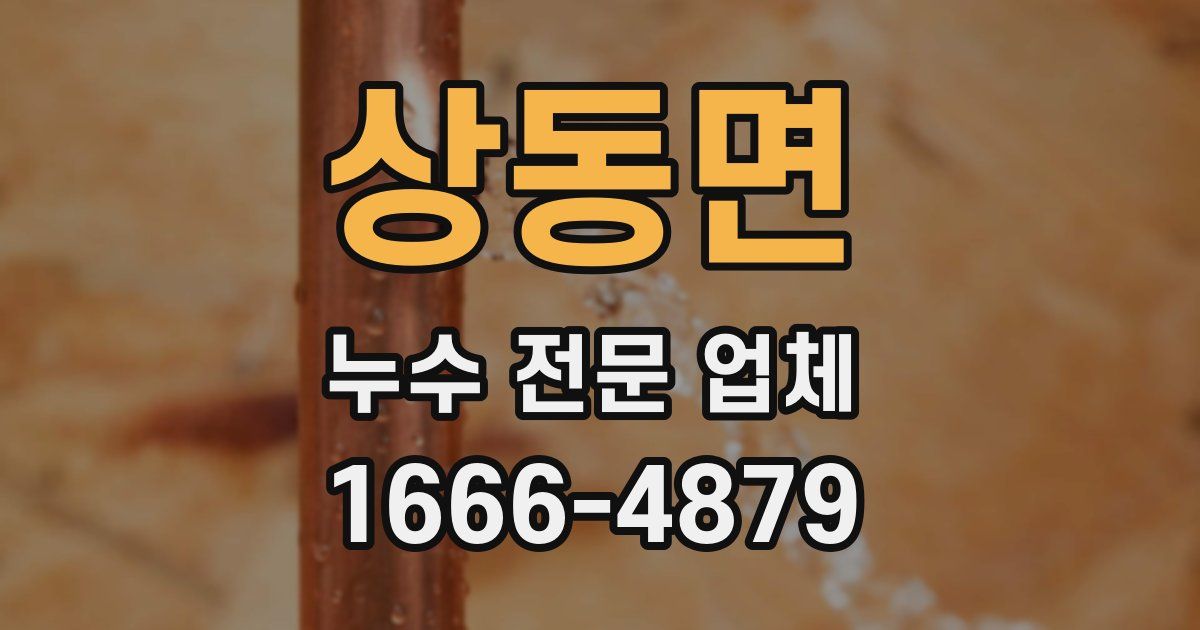 상동면 누수 전문 업체