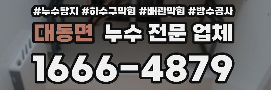 대동면 누수 전문 업체