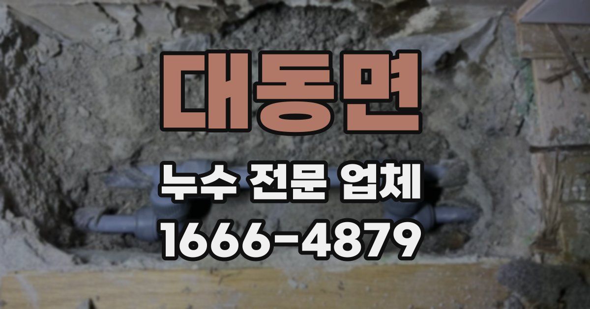 대동면 누수 전문 업체