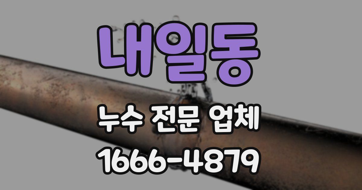내일동 누수 전문 업체