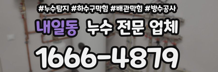 내일동 누수 전문 업체