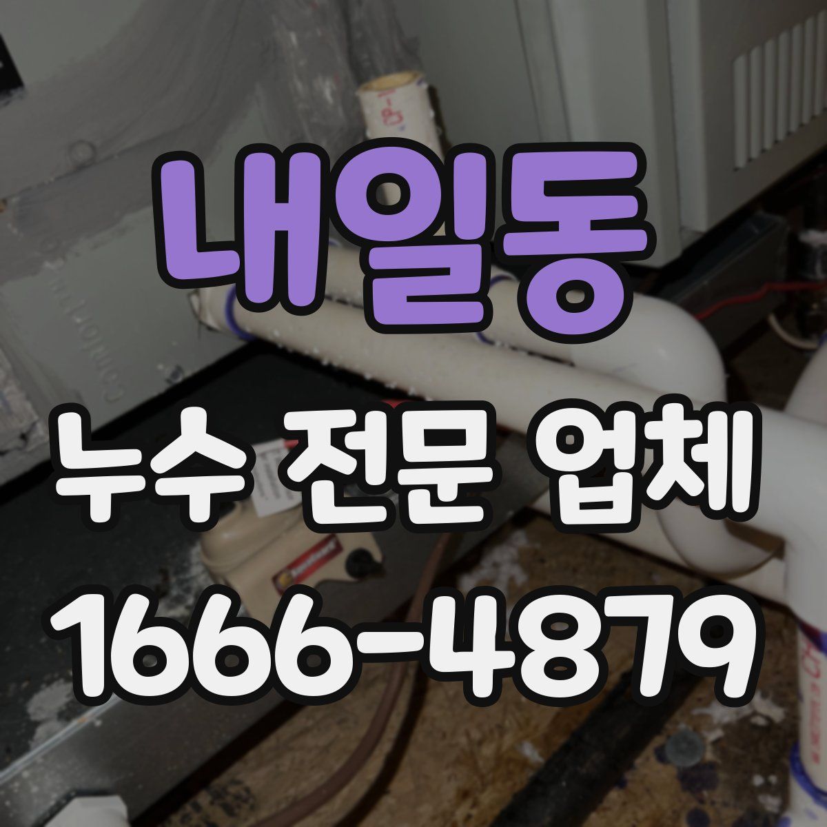 내일동 누수 전문 업체