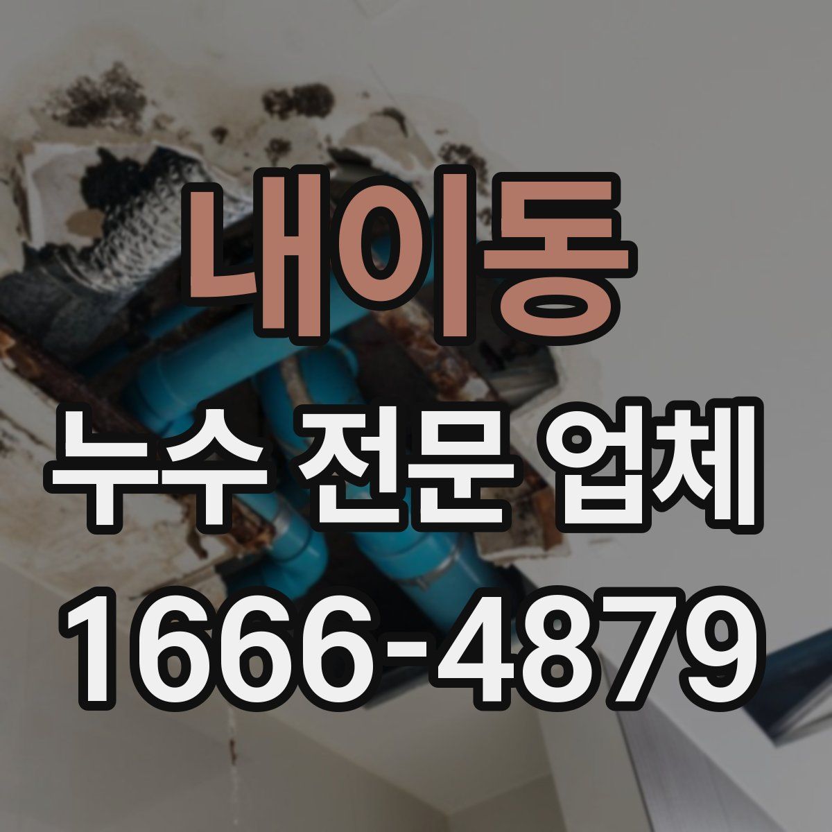 내이동 누수 전문 업체