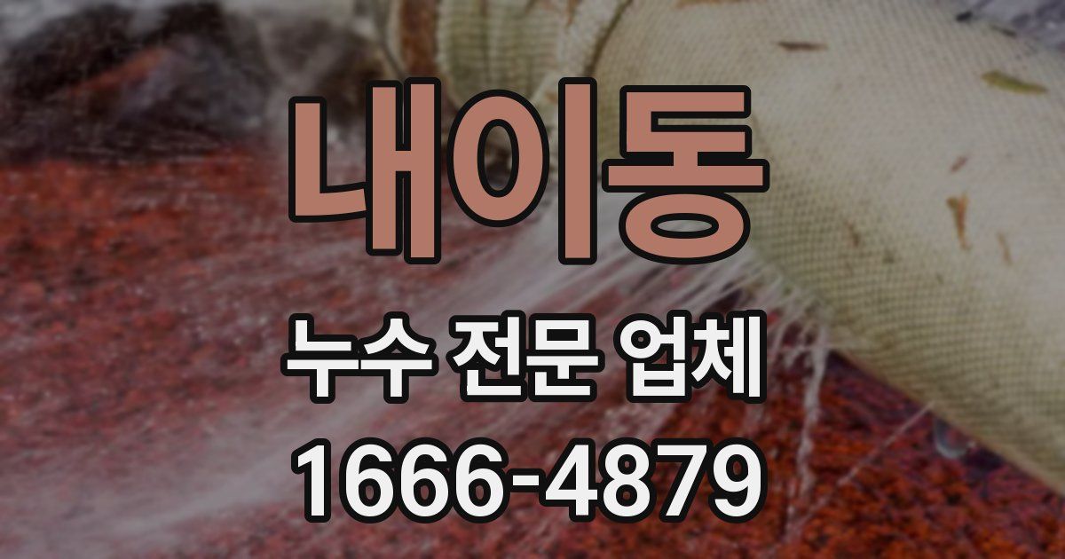 내이동 누수 전문 업체