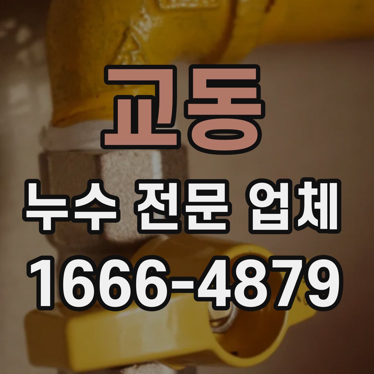 교동 누수 전문 업체