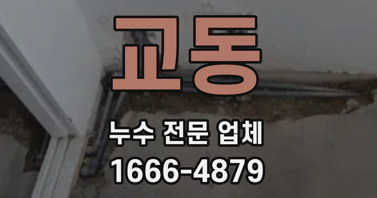 교동 누수 전문 업체