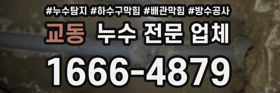 교동 누수 전문 업체