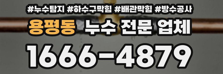 용평동 누수 전문 업체