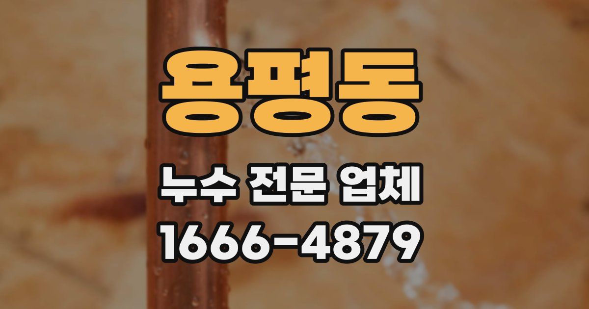 용평동 누수 전문 업체