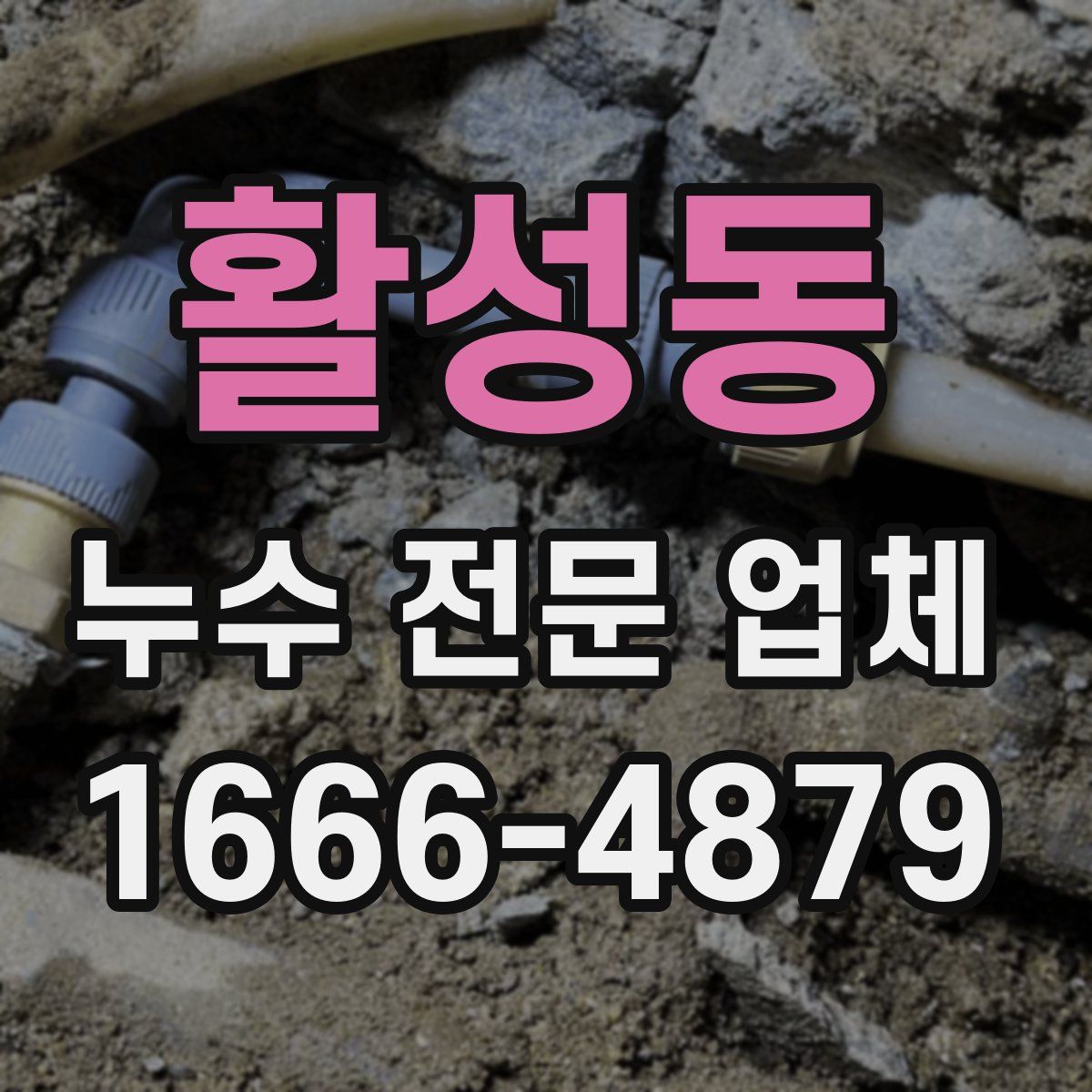 활성동 누수 전문 업체