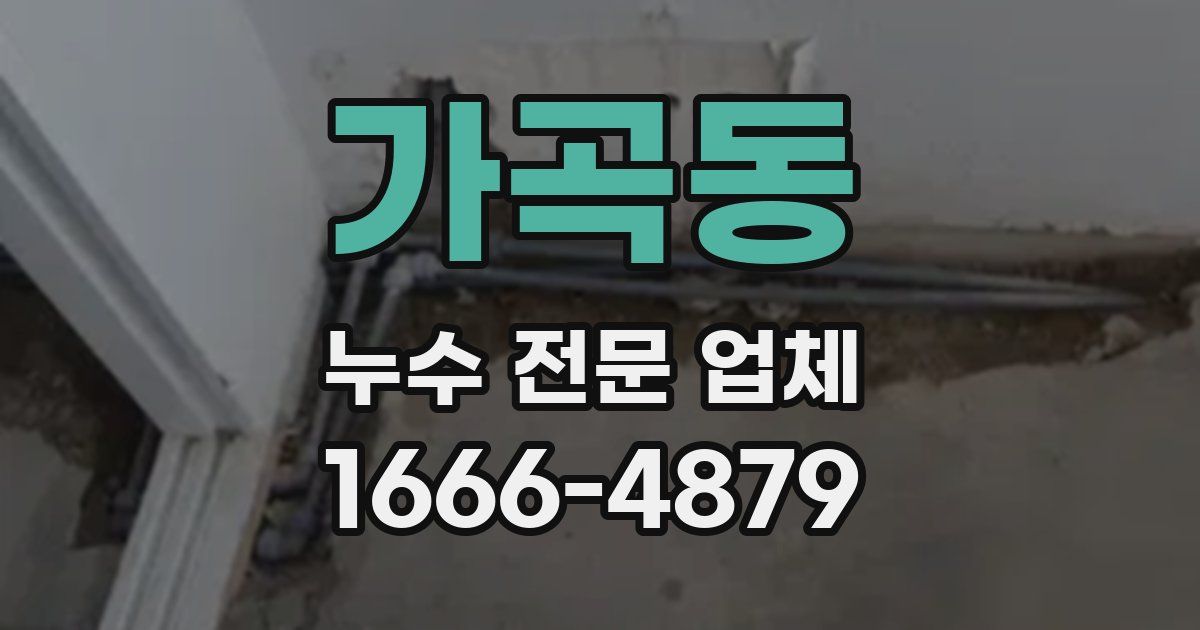 가곡동 누수 전문 업체