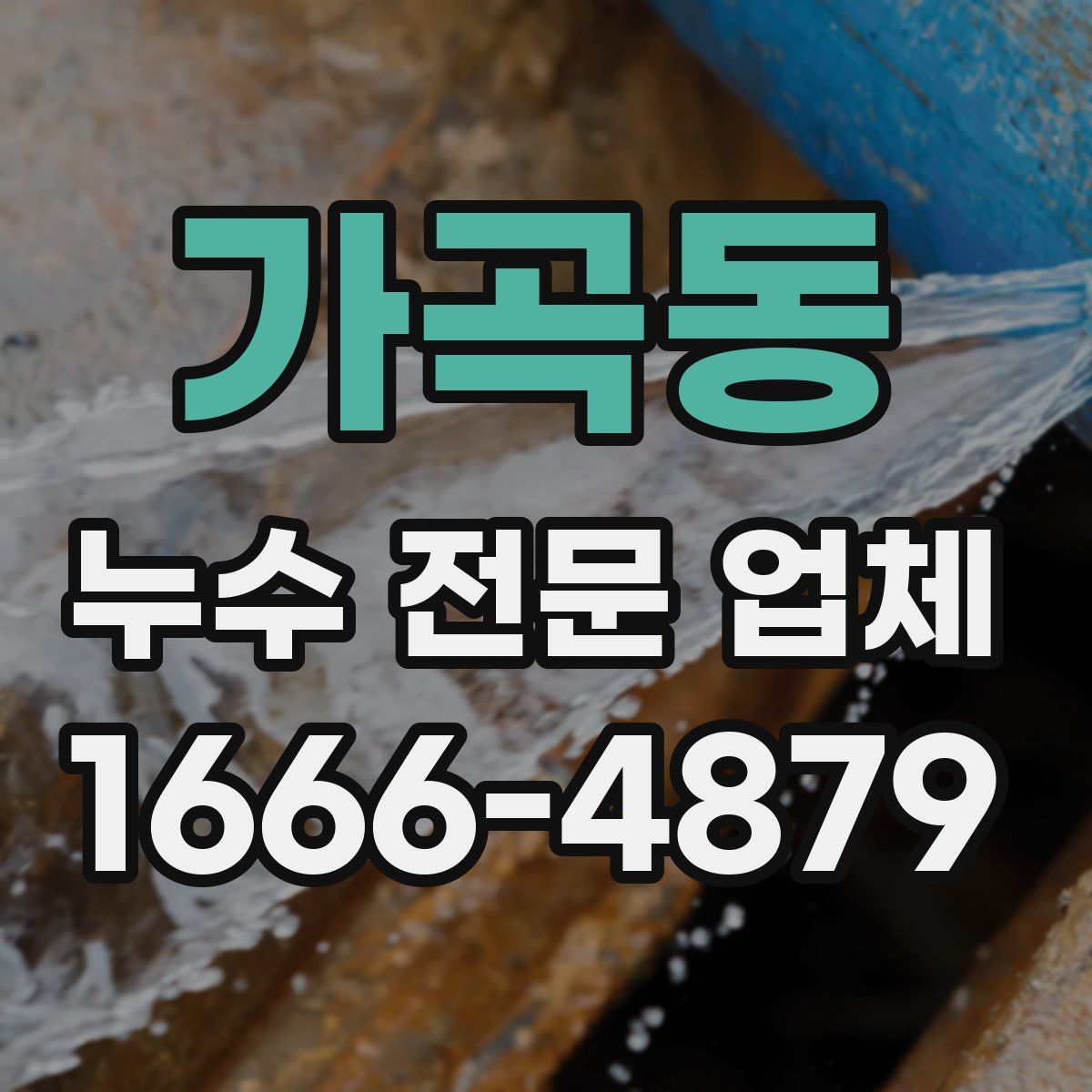 가곡동 누수 전문 업체