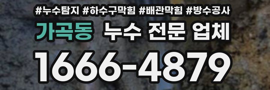 가곡동 누수 전문 업체