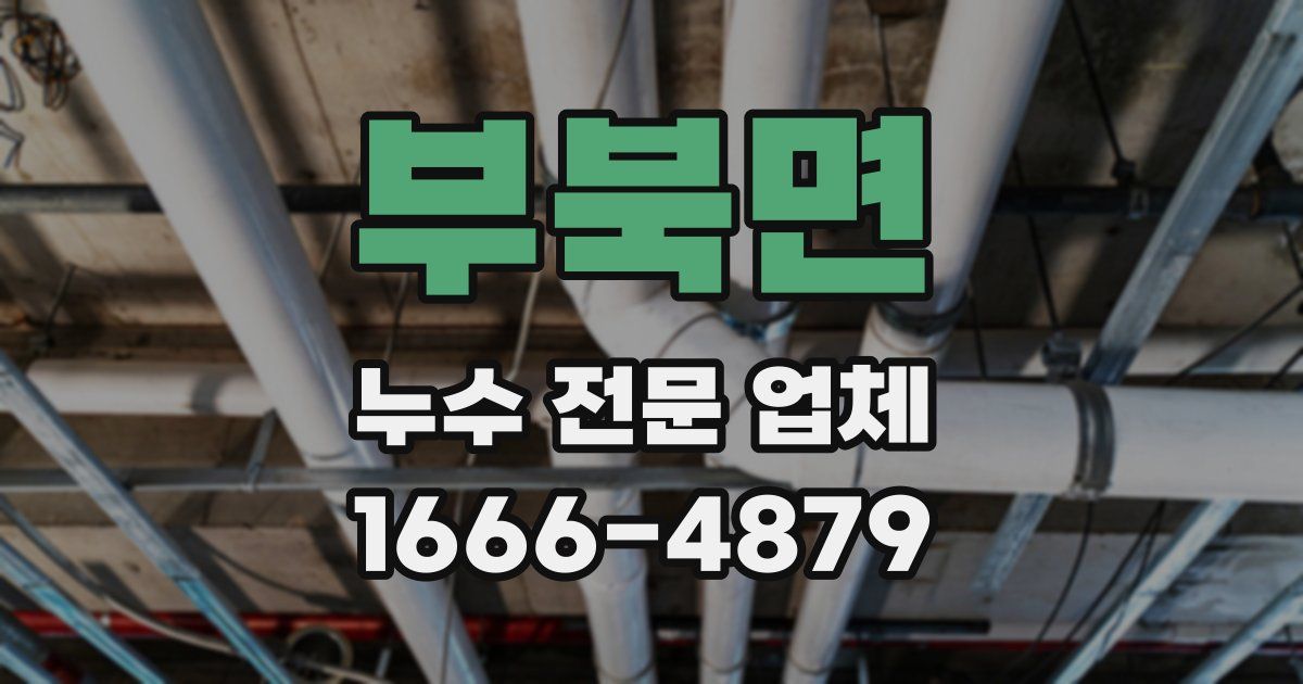 부북면 누수 전문 업체