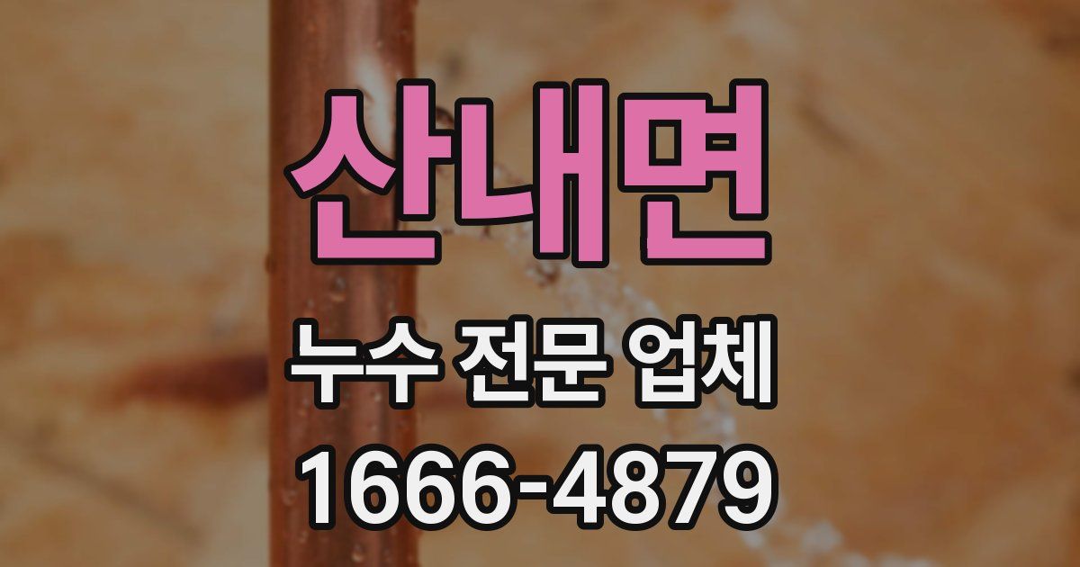 산내면 누수 전문 업체