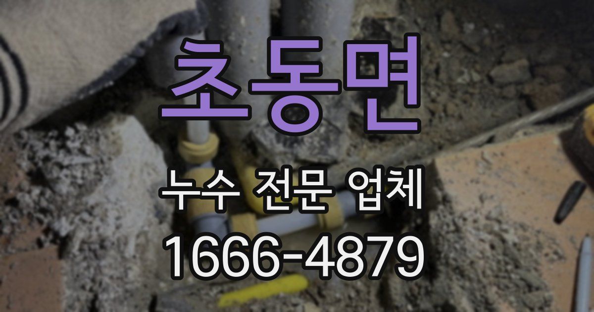 초동면 누수 전문 업체
