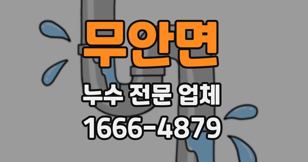 무안면 누수 전문 업체