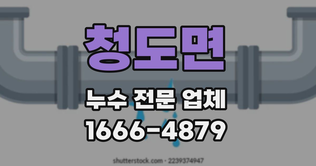 청도면 누수 전문 업체
