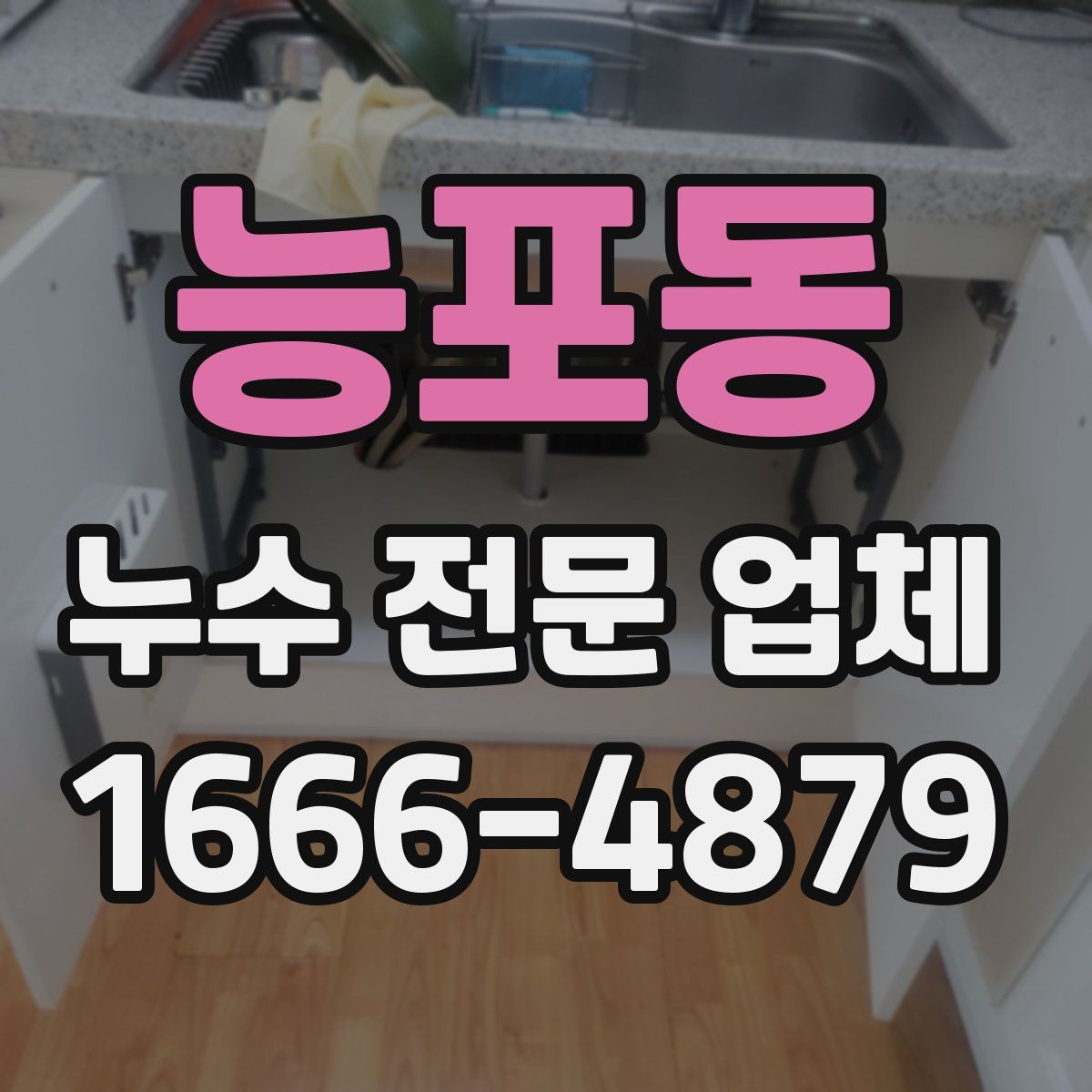 능포동 누수 전문 업체