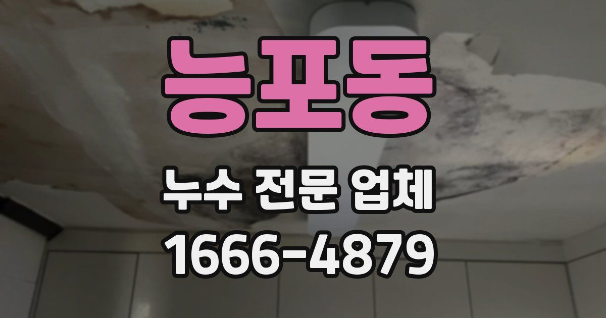능포동 누수 전문 업체