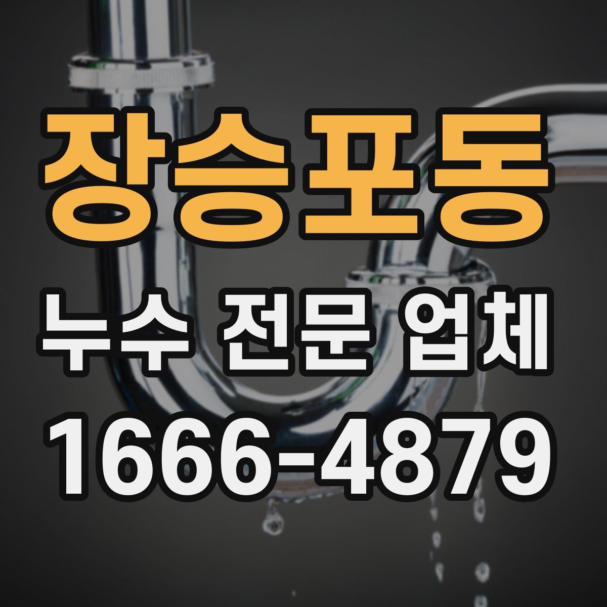 장승포동 누수 전문 업체