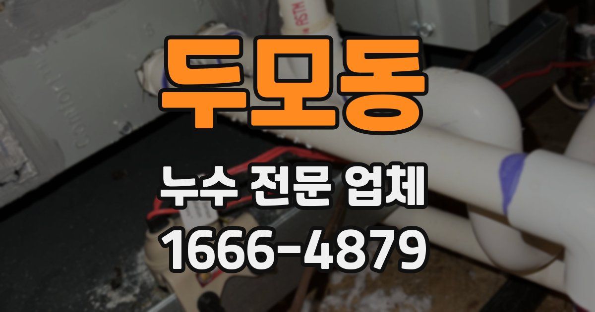 두모동 누수 전문 업체