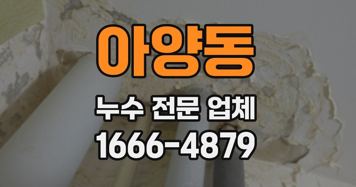 아양동 누수 전문 업체