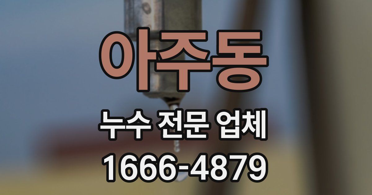아주동 누수 전문 업체