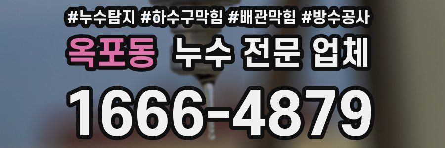 옥포동 누수 전문 업체