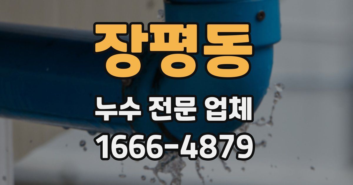 장평동 누수 전문 업체