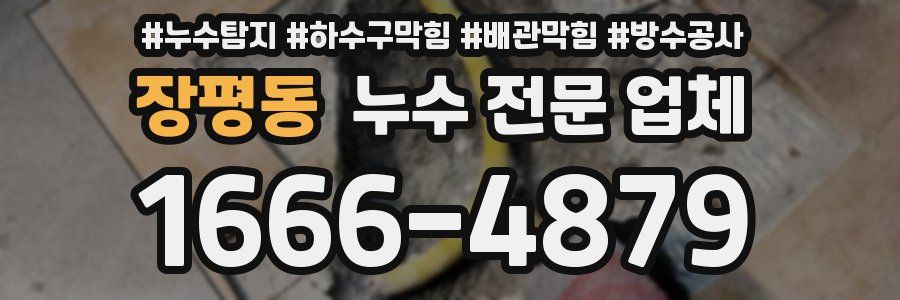 장평동 누수 전문 업체