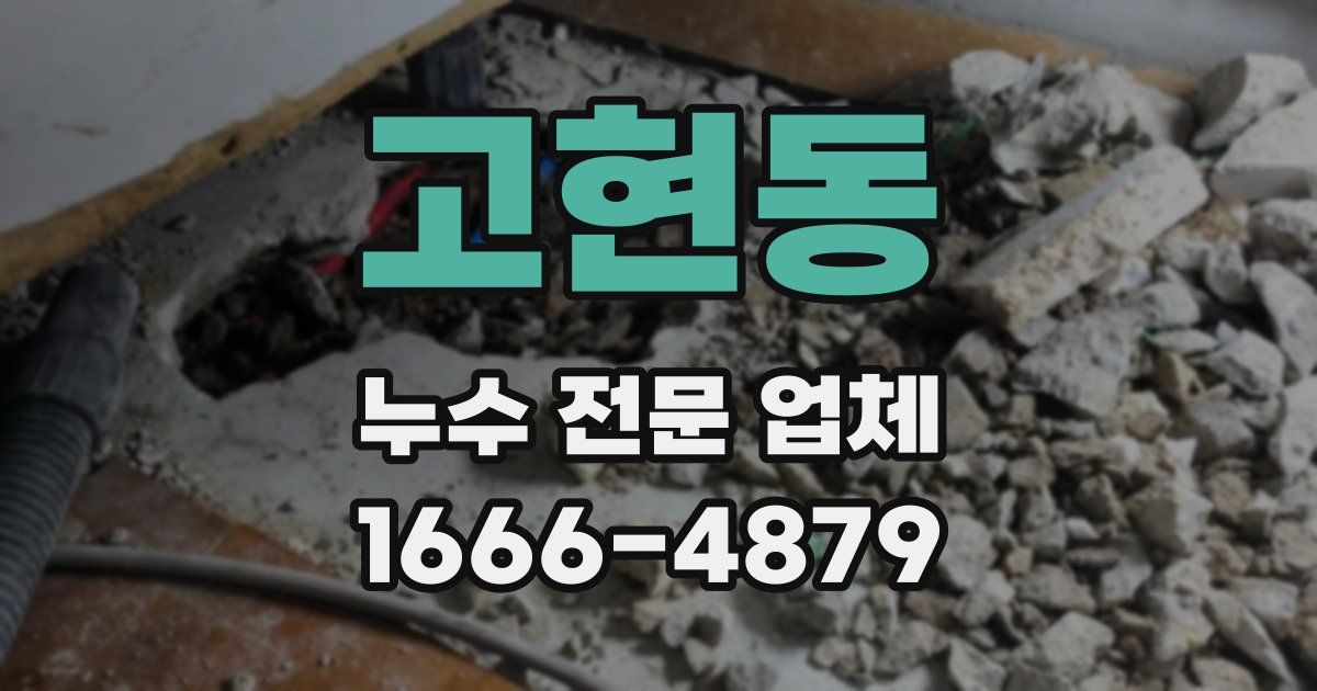 고현동 누수 전문 업체