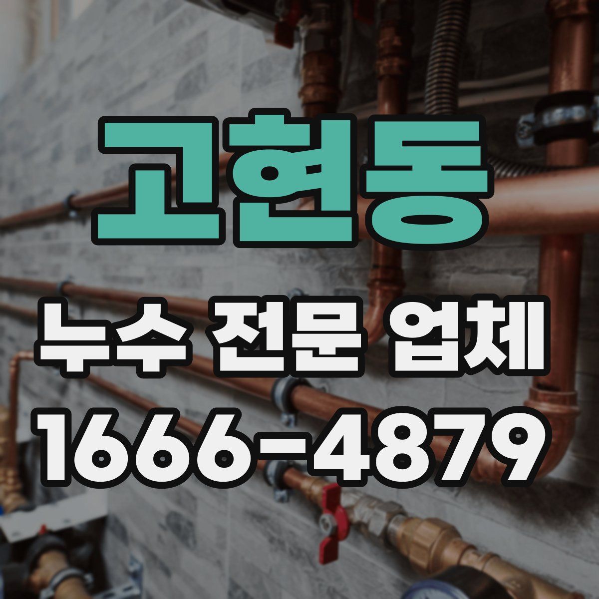 고현동 누수 전문 업체