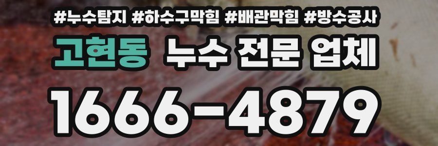 고현동 누수 전문 업체