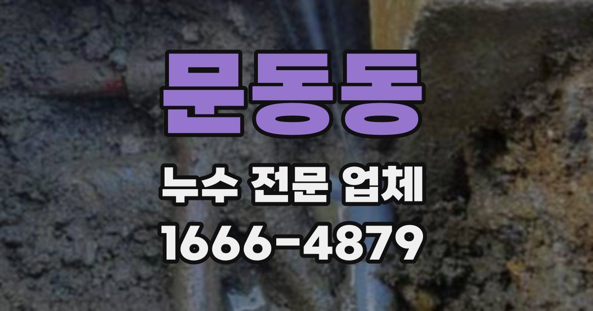 문동동 누수 전문 업체