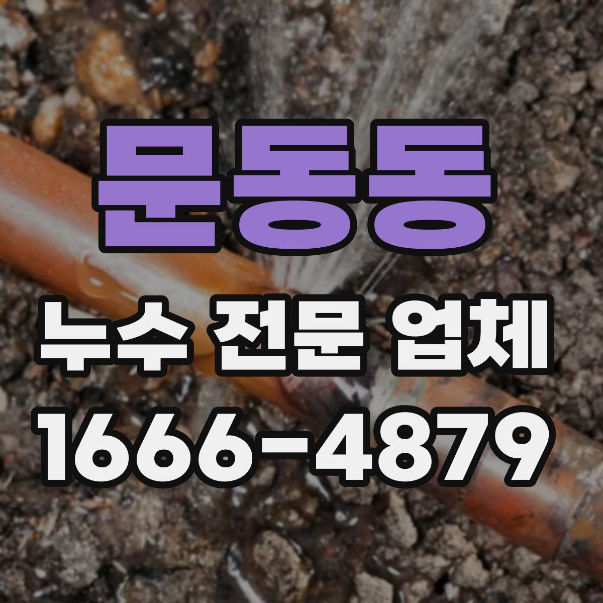 문동동 누수 전문 업체