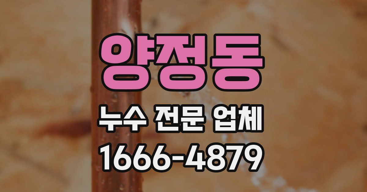 양정동 누수 전문 업체