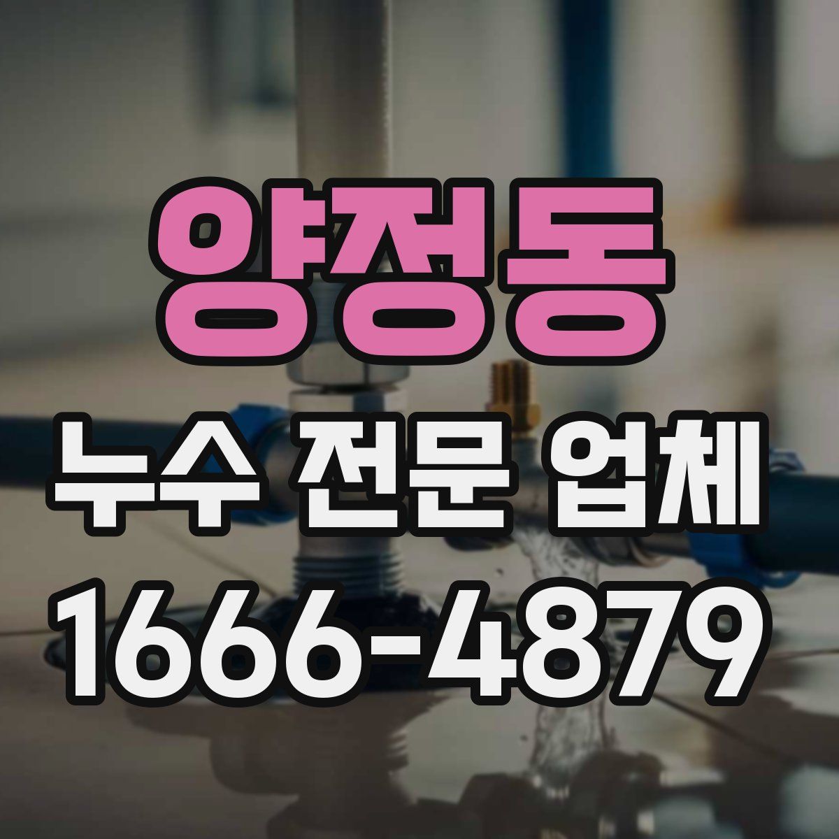 양정동 누수 전문 업체